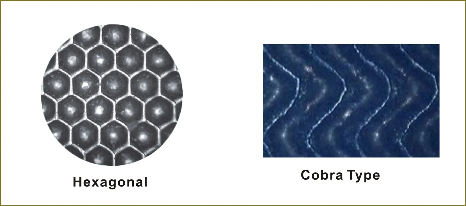 Cell Shape Cell Shape